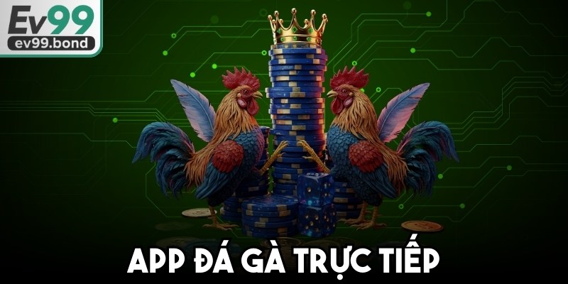 App Đá Gà Trực Tiếp