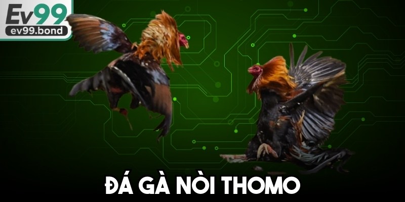 Đá Gà Nòi Thomo