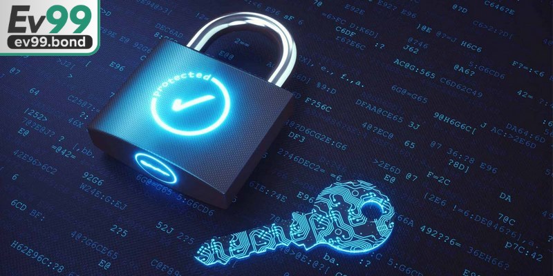 Toàn bộ hệ thống đều được áp dụng công nghệ mã hóa SSL